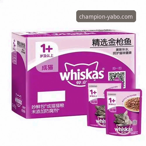 雅博体育使用教程安装教程 如何获取并安装雅博体育官方APP?一份详尽的雅博体育使用教程安装指南